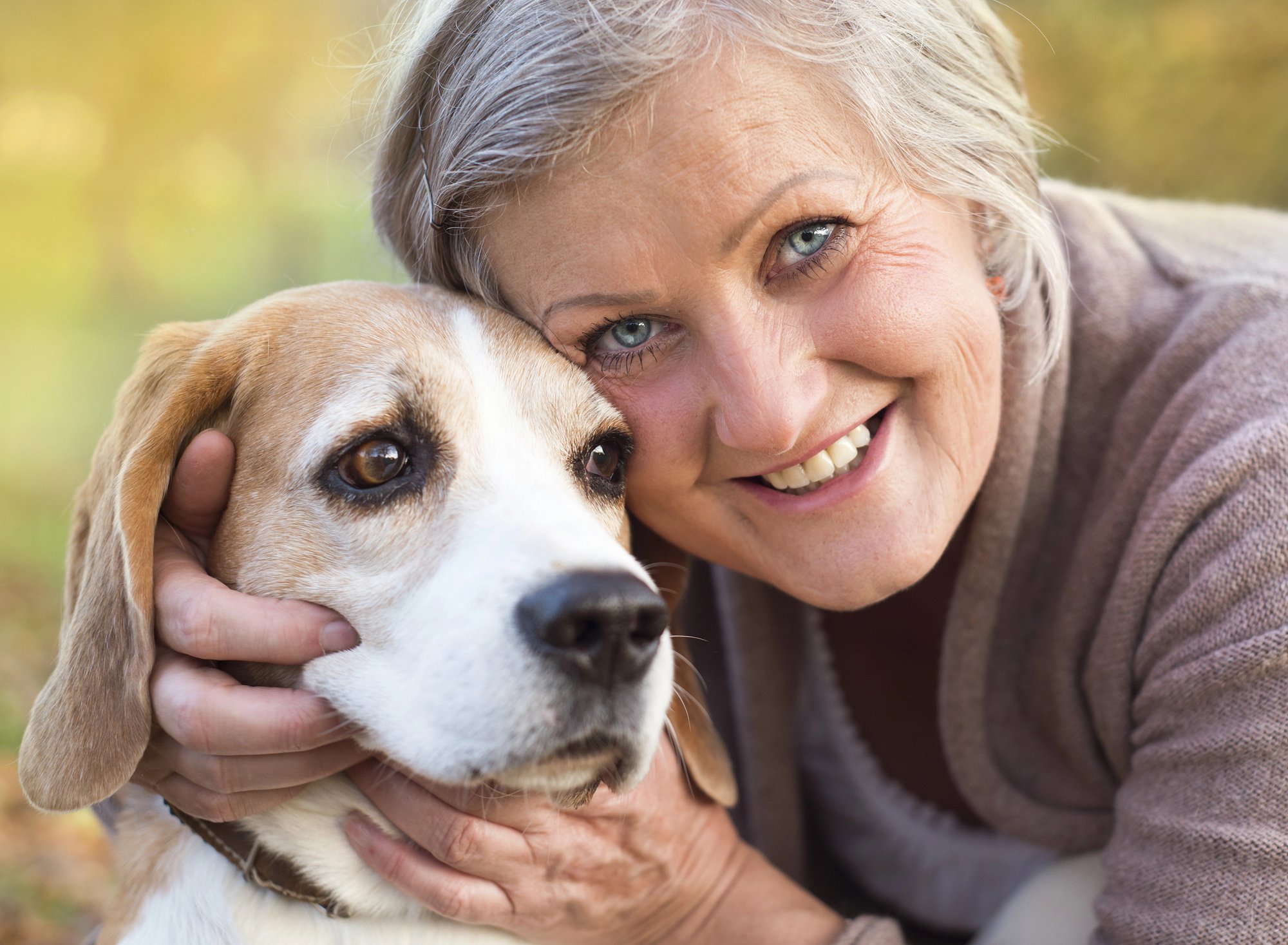 Understanding Guidelines In Pet-Friendly Assisted Living Near Ohio